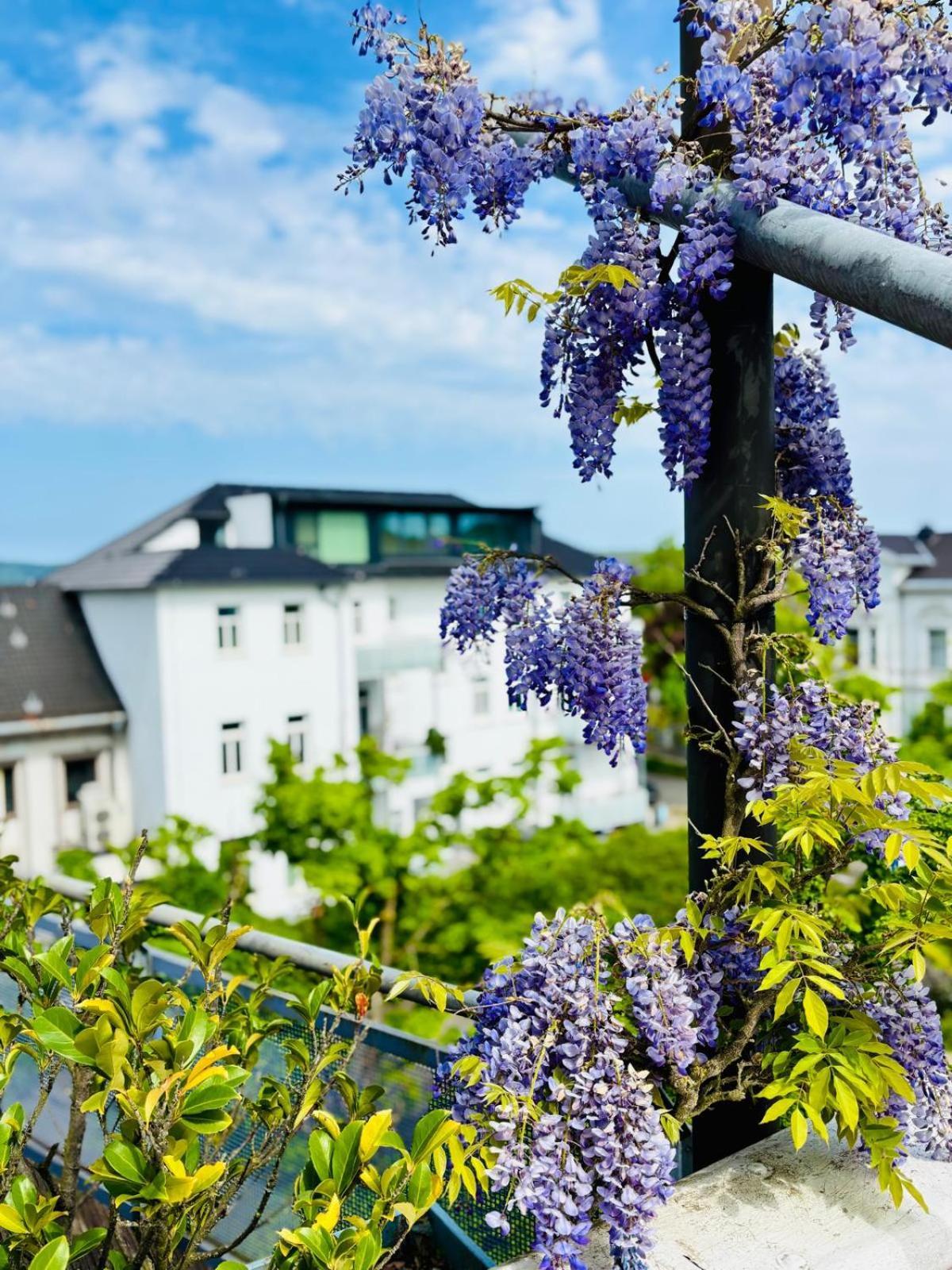 Pension Am Sueltebrunnen バート・エーンハウゼン エクステリア 写真